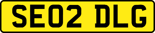 SE02DLG