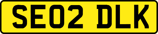SE02DLK