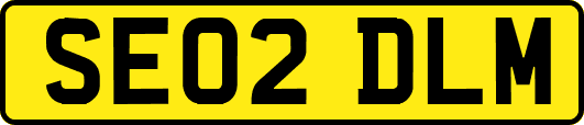 SE02DLM