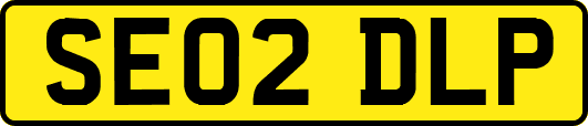 SE02DLP