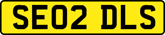 SE02DLS