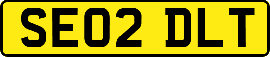 SE02DLT