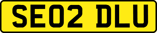 SE02DLU