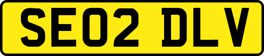 SE02DLV