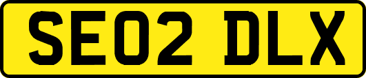 SE02DLX