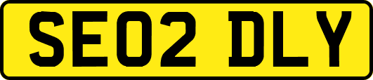 SE02DLY