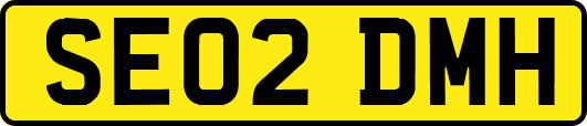 SE02DMH