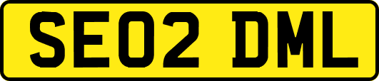 SE02DML