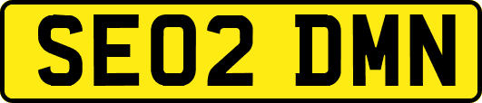 SE02DMN