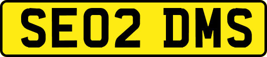 SE02DMS
