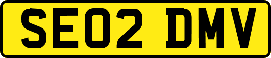 SE02DMV