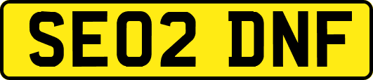 SE02DNF
