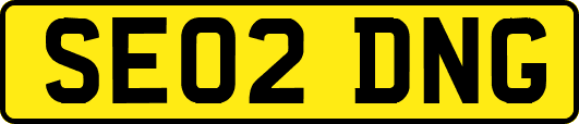 SE02DNG