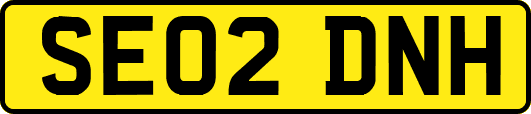 SE02DNH