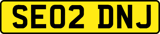 SE02DNJ