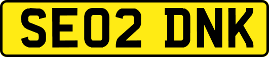 SE02DNK