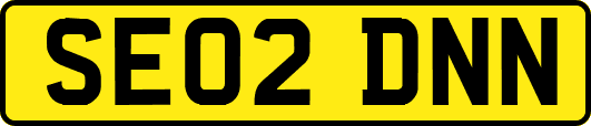 SE02DNN