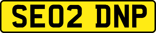 SE02DNP