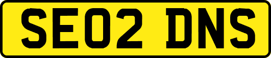 SE02DNS