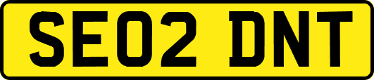 SE02DNT