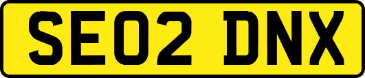 SE02DNX