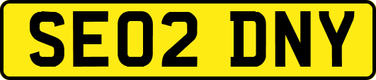 SE02DNY