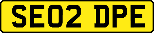 SE02DPE