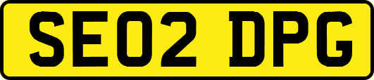 SE02DPG