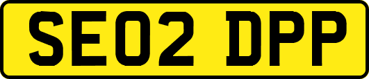 SE02DPP