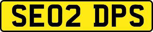 SE02DPS
