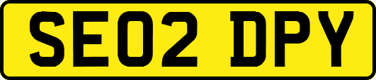 SE02DPY