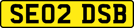 SE02DSB