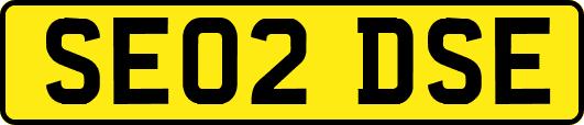 SE02DSE