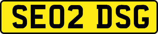 SE02DSG