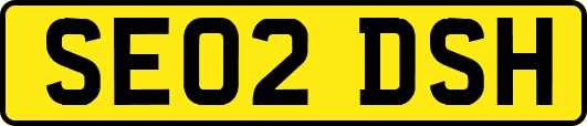 SE02DSH