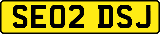 SE02DSJ