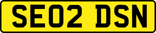 SE02DSN