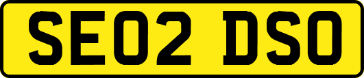 SE02DSO