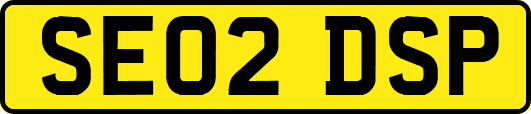SE02DSP