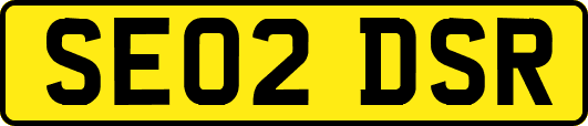SE02DSR