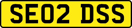 SE02DSS