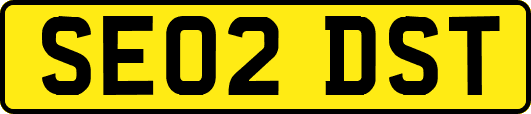 SE02DST