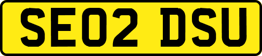 SE02DSU