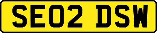 SE02DSW