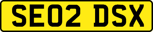 SE02DSX