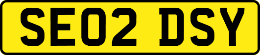 SE02DSY