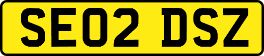 SE02DSZ