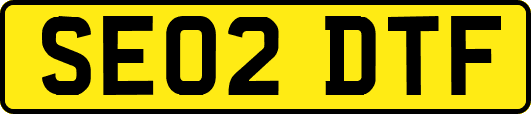 SE02DTF