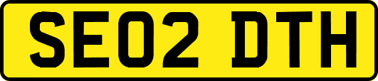 SE02DTH