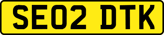 SE02DTK